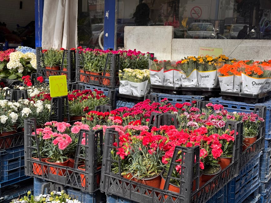 A vibrant display of potted flowers outside a florist shop, featuring clusters of pink, red, white, yellow, and orange blooms arranged in black plastic crates and trays. The flowers, including carnati